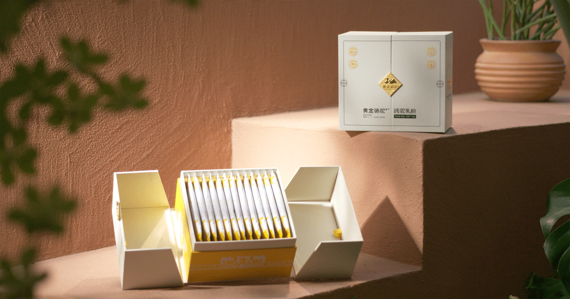 定位小众高端乳粉，jinnianhui今年会推出驼奶品牌“黄金骆驼+”，角逐乳品新市场！